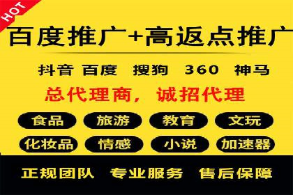如何利用百度竞价代理：真实案例分析